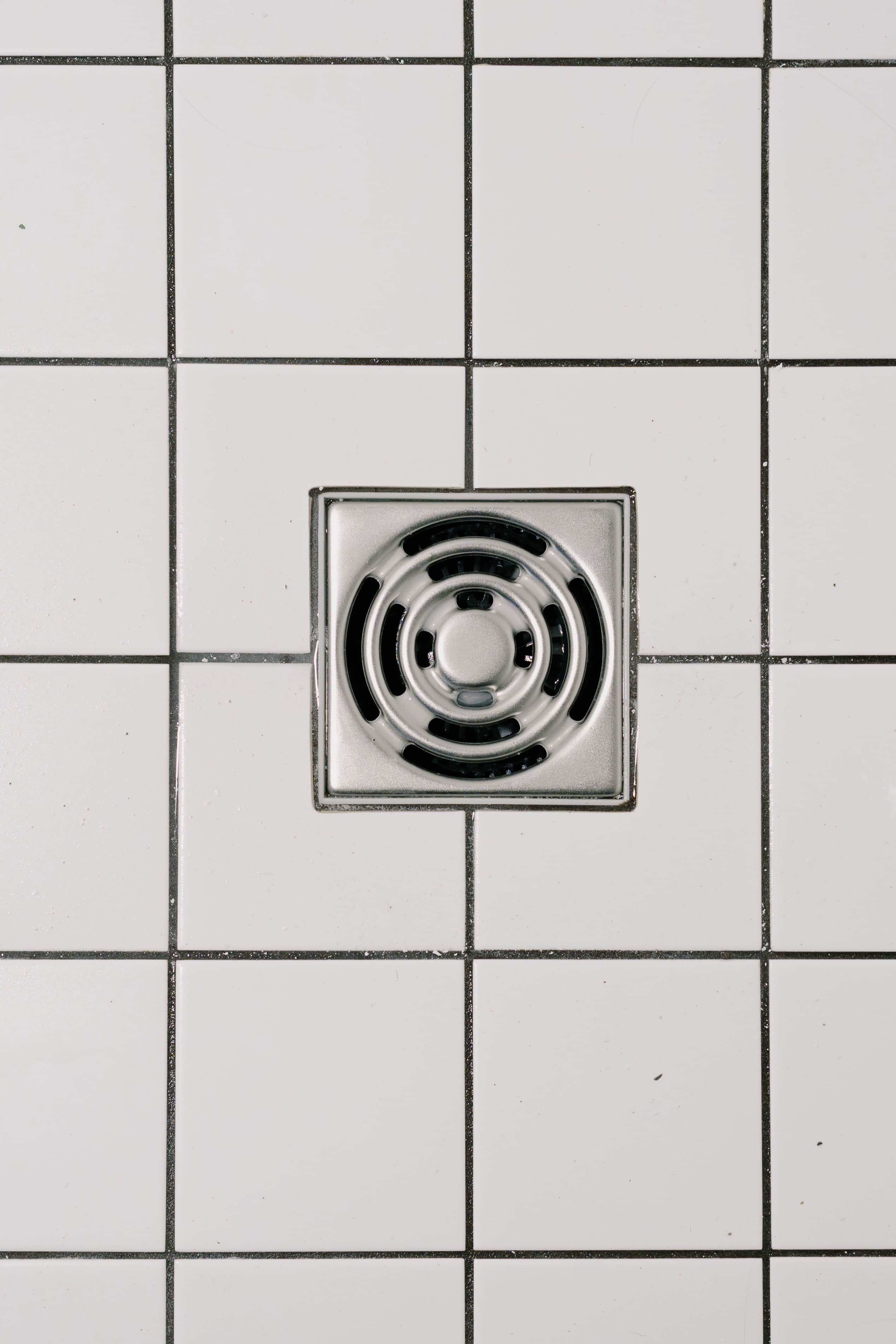 drain cleaning seattle drain cleaning seattle
