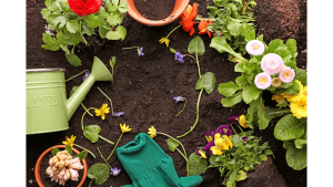 plumbing and your west seattle garden