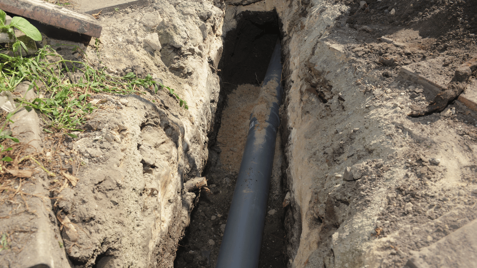sewer repair tacoma