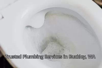 Trusted Plumbing Services in Buckley, WA Trusted Plumbing Services in Buckley, WA