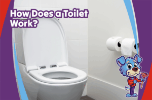 How Does a Toilet Work