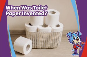 toilet paper