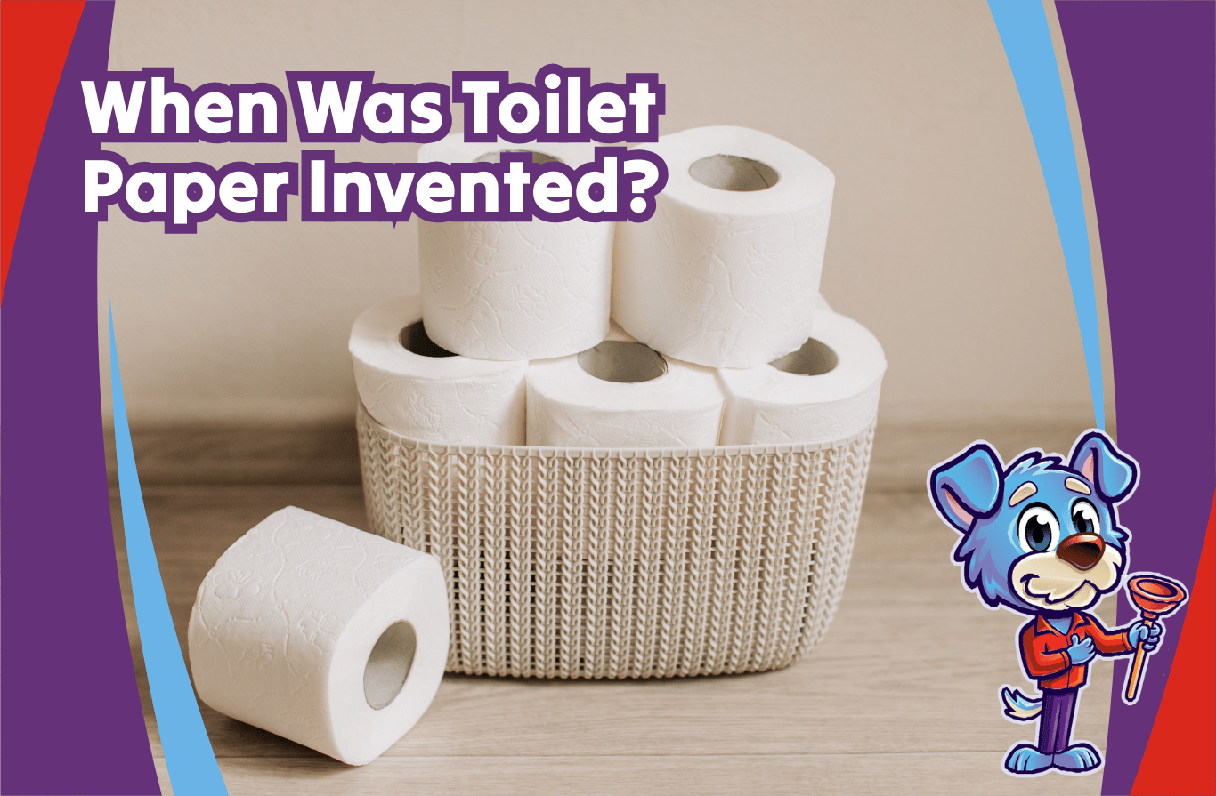  when was toilet paper invented	
