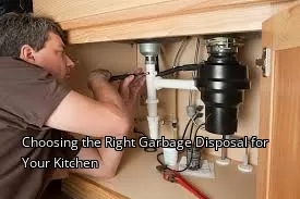 Choosing the Right Garbage Disposal for Your Kitchen Choosing the Right Garbage Disposal for Your Kitchen