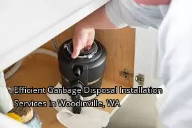 Efficient Garbage Disposal Installation Services in Woodinville, WA