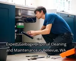 Expert Garbage Disposal Cleaning and Maintenance in Bellevue, WA