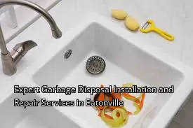 Expert Garbage Disposal Installation and Repair Services in Eatonville