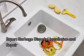 Expert Garbage Disposal Installation and Repair