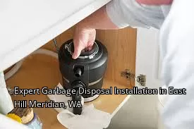 Expert Garbage Disposal Installation in East Hill Meridian, WA