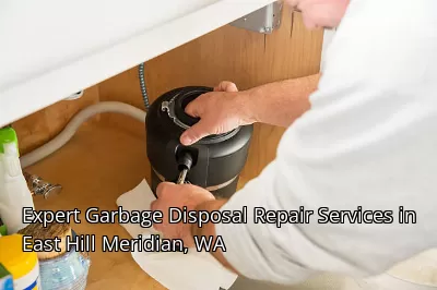Expert Garbage Disposal Repair Services in East Hill Meridian, WA