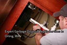 Expert Garbage Disposal Repair Services in Orting, WA