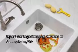 Expert Garbage Disposal Services in Bonney Lake, WA