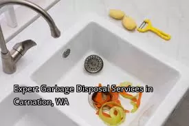 Expert Garbage Disposal Services in Carnation, WA