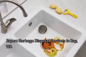 Expert Garbage Disposal Services in Roy, WA