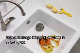 Expert Garbage Disposal Services in Tukwila, WA