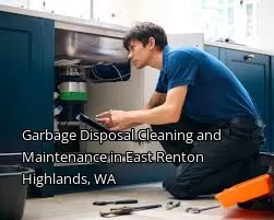 Garbage Disposal Cleaning and Maintenance in East Renton Highlands, WA