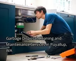 Garbage Disposal Cleaning and Maintenance Services in Puyallup, WA