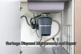 Garbage Disposal Maintenance and Repair