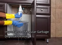 Importance of Regular Garbage Disposal Cleaning
