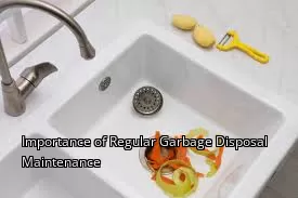Importance of Regular Garbage Disposal Maintenance