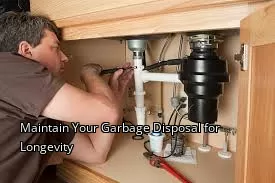 Maintain Your Garbage Disposal for Longevity