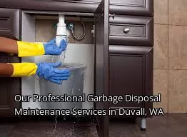Our Professional Garbage Disposal Maintenance Services in Duvall, WA