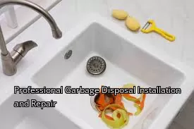Professional Garbage Disposal Installation and Repair