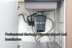 Professional Garbage Disposal Repair and Installation