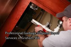 Professional Garbage Disposal Repair Services in Graham, WA