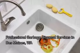 Professional Garbage Disposal Services in Des Moines, WA