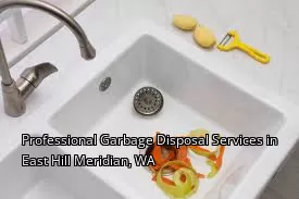 Professional Garbage Disposal Services in East Hill Meridian, WA