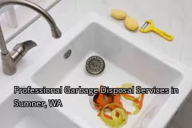 Professional Garbage Disposal Services in Sumner, WA