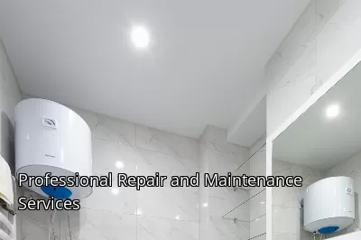 Professional Repair and Maintenance Services