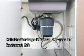 Reliable Garbage Disposal Services in Redmond, WA
