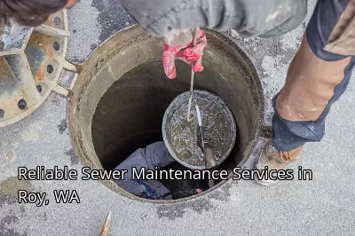 Reliable Sewer Maintenance Services in Roy, WA Reliable Sewer Maintenance Services in Roy, WA