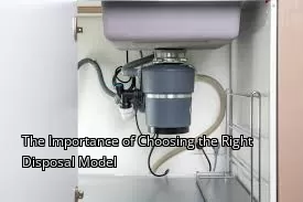 The Importance of Choosing the Right Disposal Model