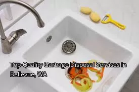 Top-Quality Garbage Disposal Services in Bellevue, WA
