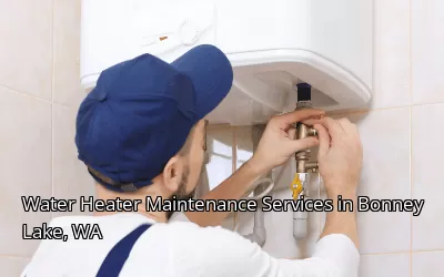 Water Heater Maintenance Services in Bonney Lake, WA