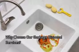 Why Choose Our Garbage Disposal Services?