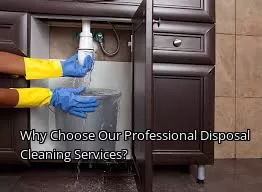 Why Choose Our Professional Disposal Cleaning Services?
