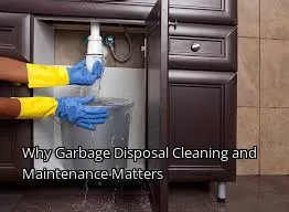 Why Garbage Disposal Cleaning and Maintenance Matters