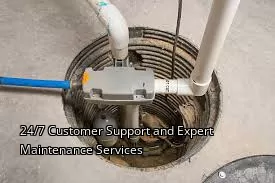 24/7 Customer Support and Expert Maintenance Services