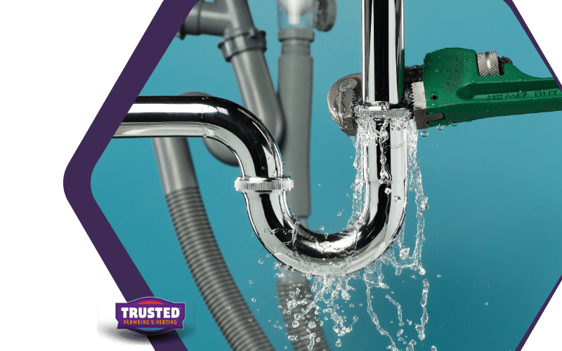 leak detection federal way 