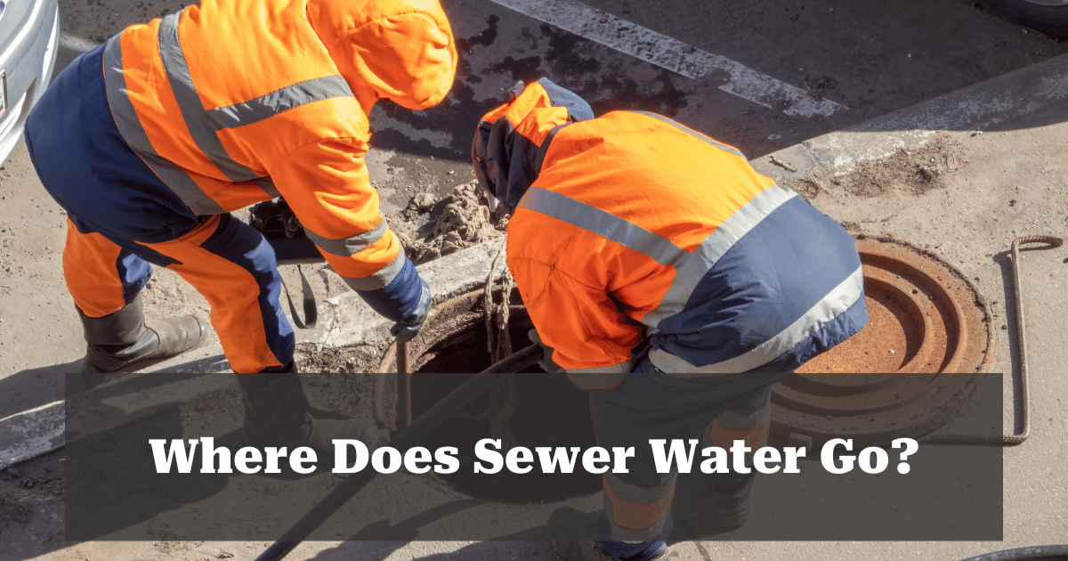 Where Does Sewer Water Go