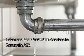 Advanced Leak Detection Services in Eatonville, WA Advanced Leak Detection Services in Eatonville, WA