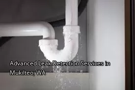 Advanced Leak Detection Services in Mukilteo, WA