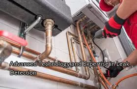Advanced Technology and Expertise in Leak Detection