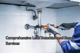 Comprehensive Leak Detection and Repair Services