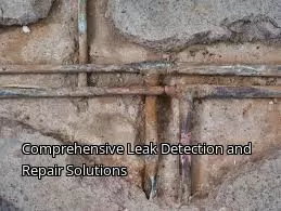 Comprehensive Leak Detection and Repair Solutions Comprehensive Leak Detection and Repair Solutions