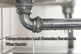 Comprehensive Leak Detection Services in West Seattle